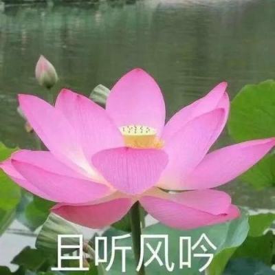 “五一”假期甘肃武威四家博物馆开启“夜游”模式